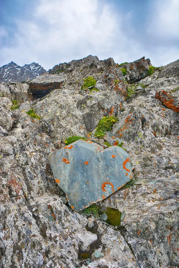 Rocky Mountain Explorer